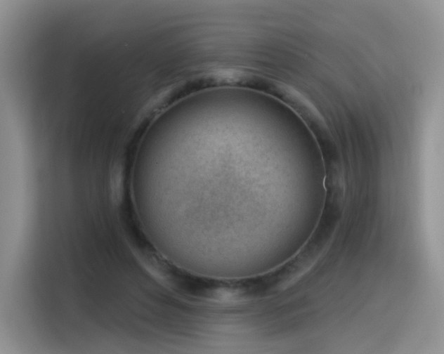 X0000115770496200911201221