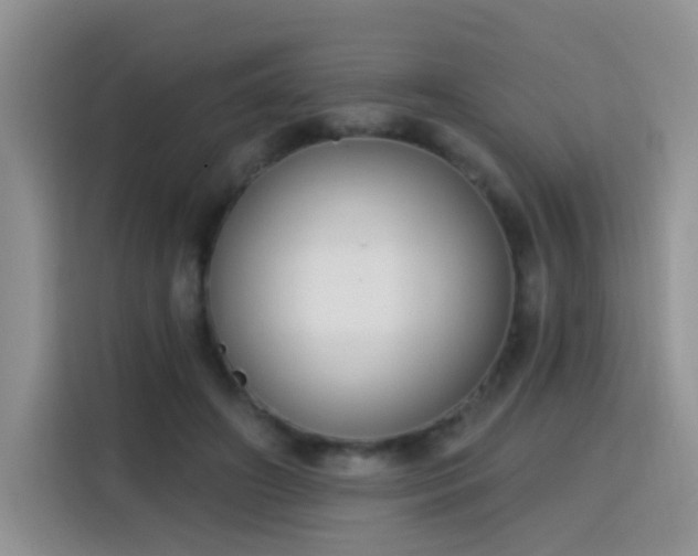 X0000115770498200911201221