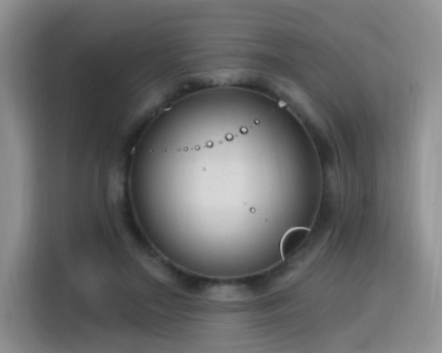 X0000115770499200911201221