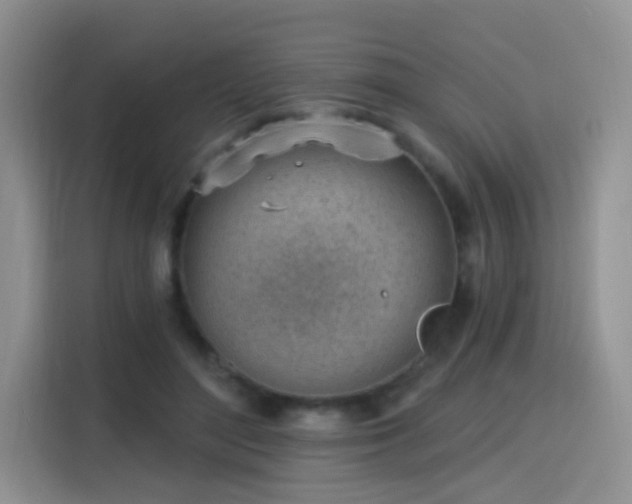 X0000115770500200911201221