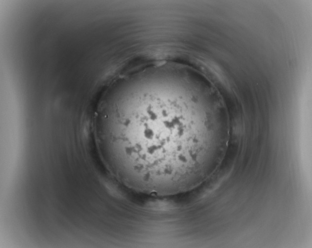 X0000115770503200911201221