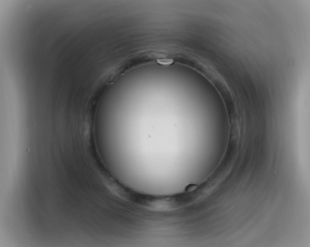 X0000115770505200911201221