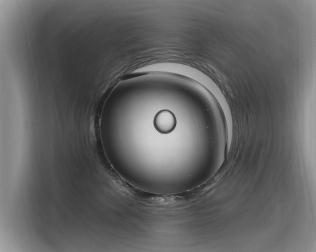 X0000115770524200911201221