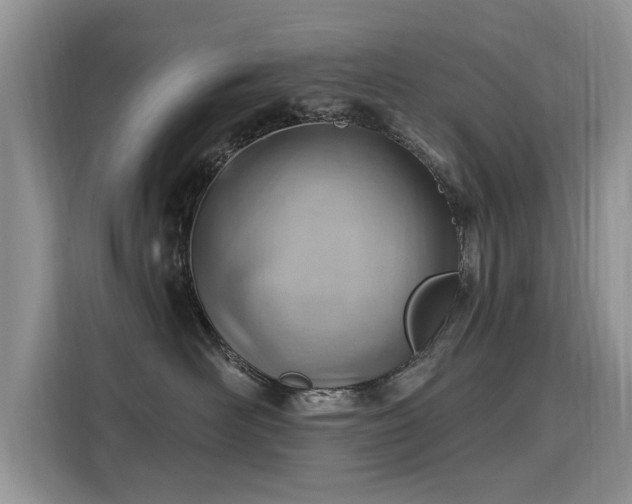 X0000115770526200911201221