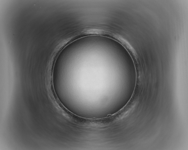 X0000115770529200911201220