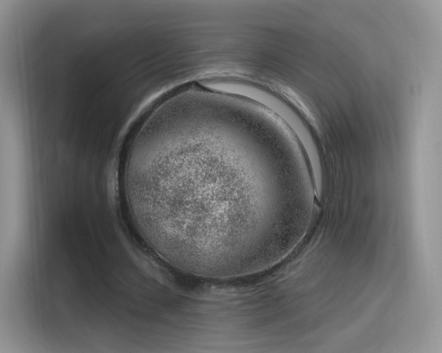 X0000115770531200911201220