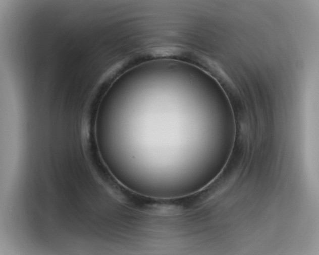 X0000115770539200911201220