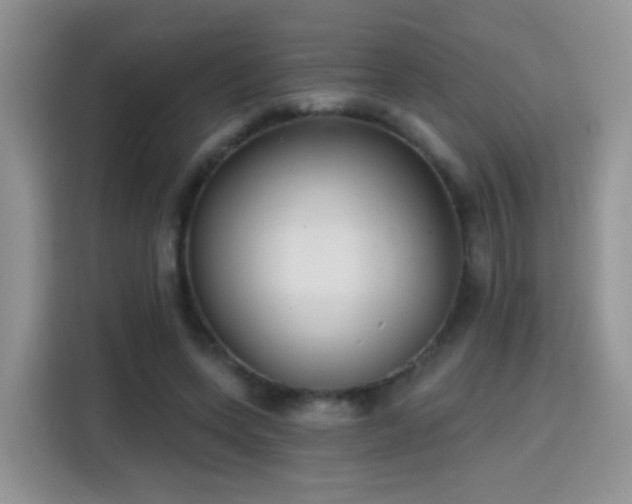 X0000115770543200911201220