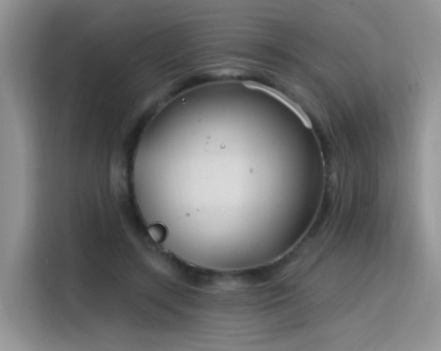 X0000115770547200911201220