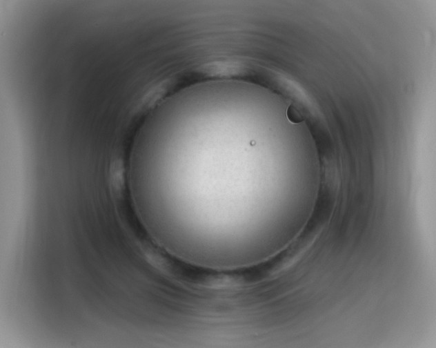 X0000115770549200911201220