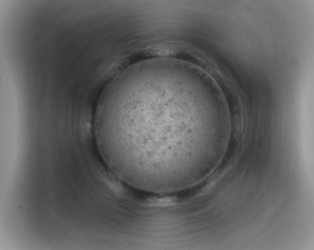 X0000115770553200911201220