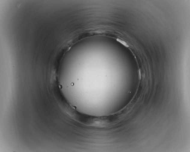 X0000115770555200911201220
