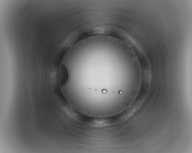 X0000115770557200911201221