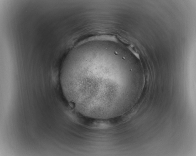 X0000115770559200911201221