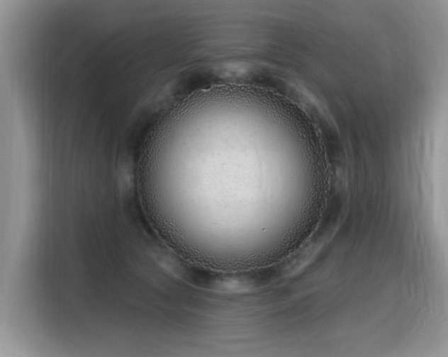 X0000115770561200911201221