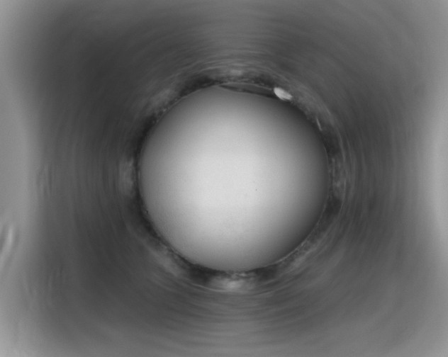 X0000115770563200911201221
