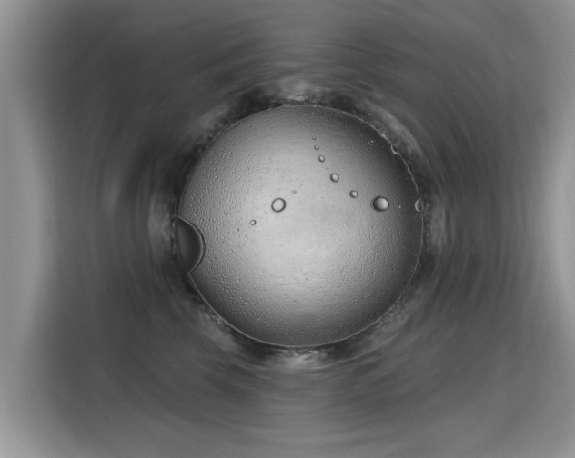 X0000115770569200911201221