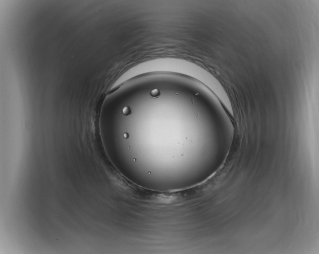 X0000115770570200911201221
