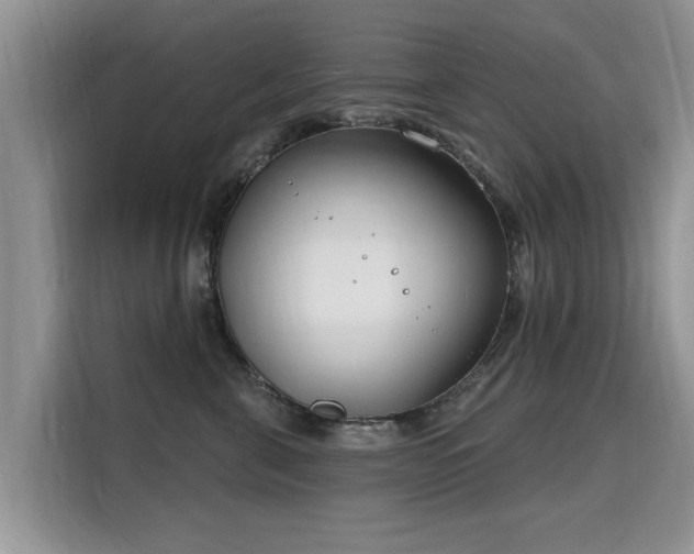 X0000115770571200911201221