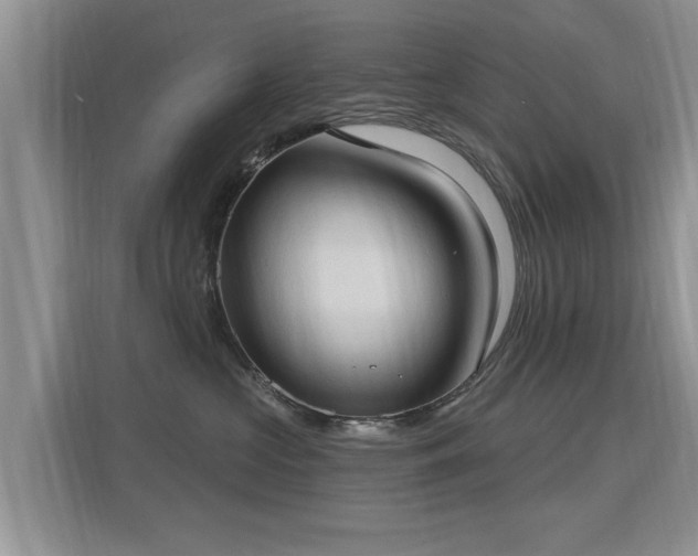X0000115770573200911201221