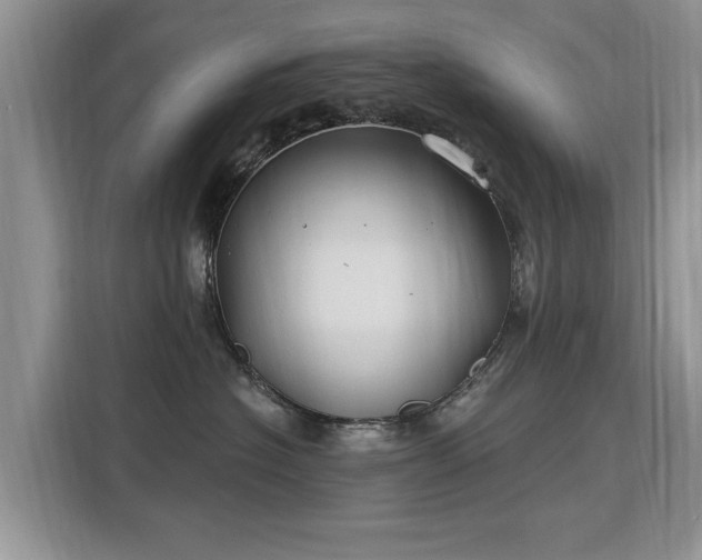 X0000115770574200911201221