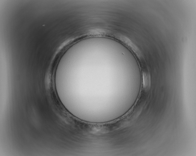 X0000115770579200911201220
