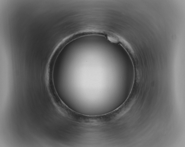 X0000115770580200911201220