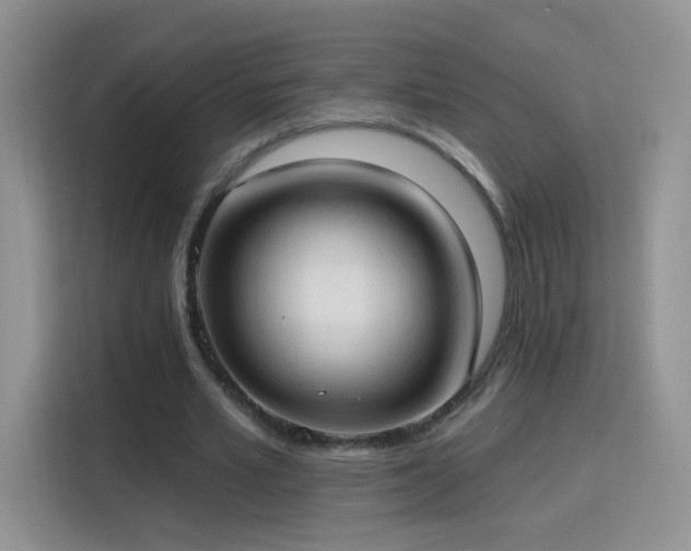 X0000115770581200911201220