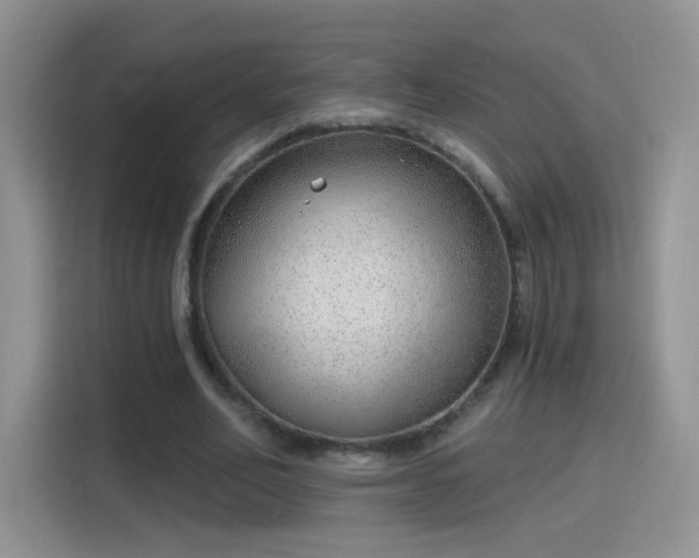 X0000115770582200911201220