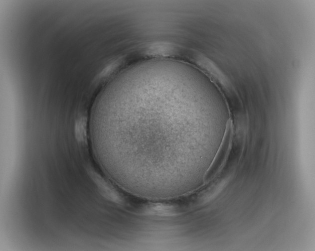 X0000115770585200911201220