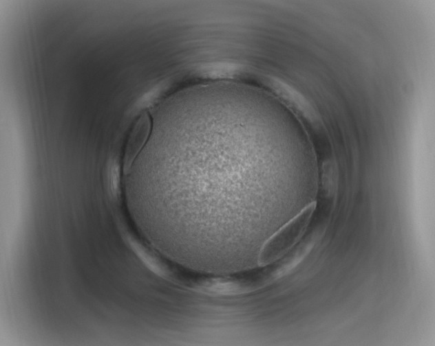 X0000115770589200911201220