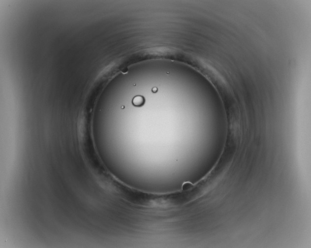 X0000115770591200911201220