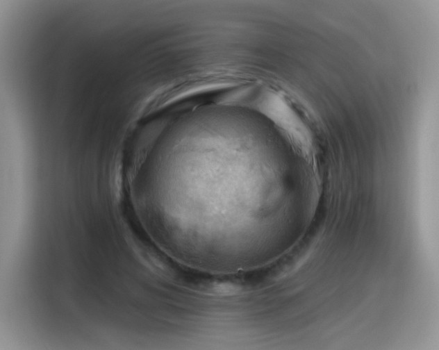 X0000115770592200911201220