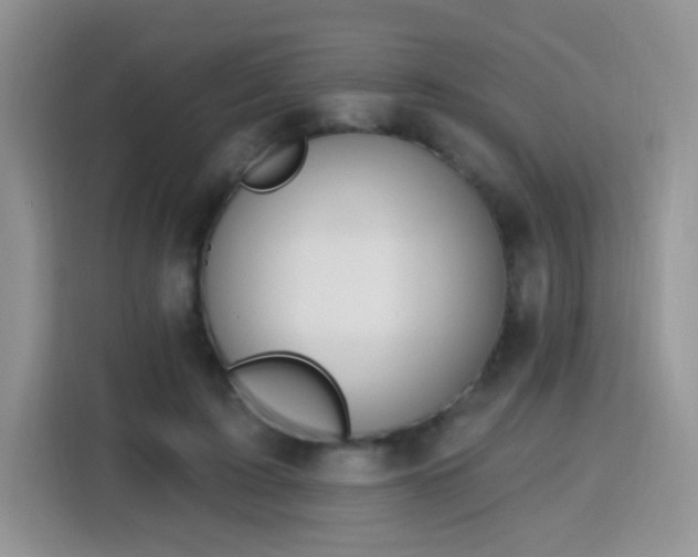 X0000115770595200911201220