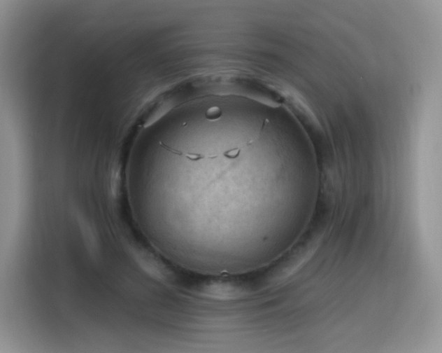 X0000115770596200911201220