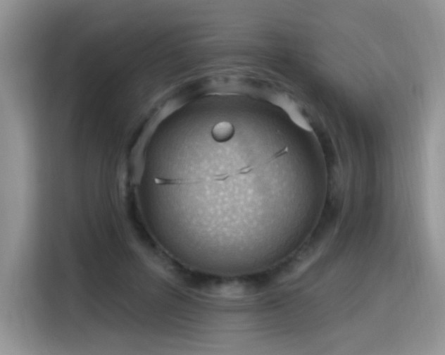 X0000115770600200911201220