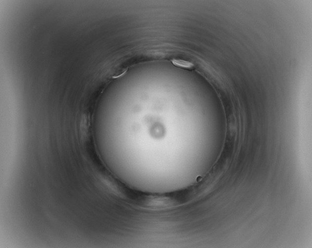 X0000115770605200911201220