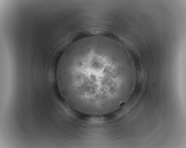 X0000115770606200911201220