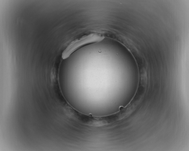 X0000115770608200911201220