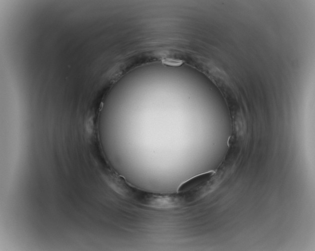 X0000115770611200911201220