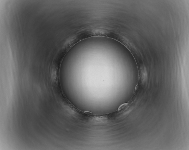 X0000115770619200911201220