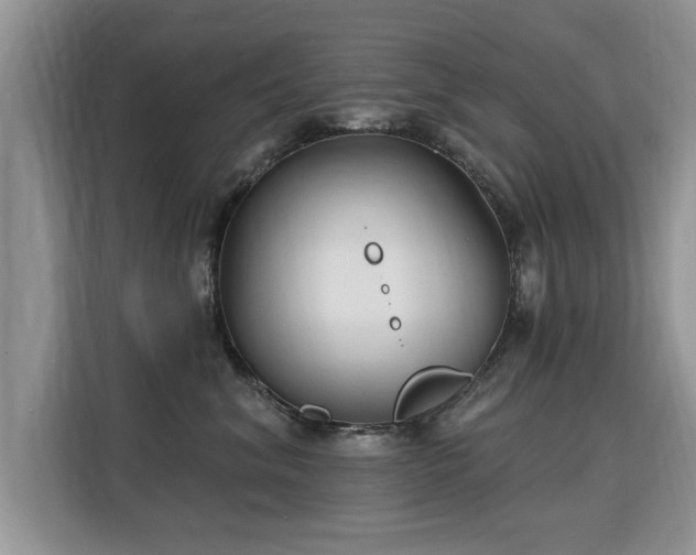 X0000115770620200911201220