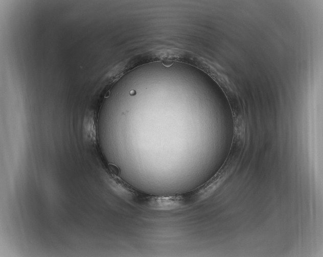 X0000115770622200911201220
