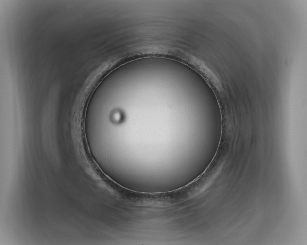 X0000115770625200911201219