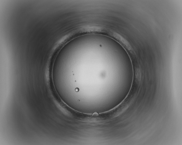 X0000115770629200911201219