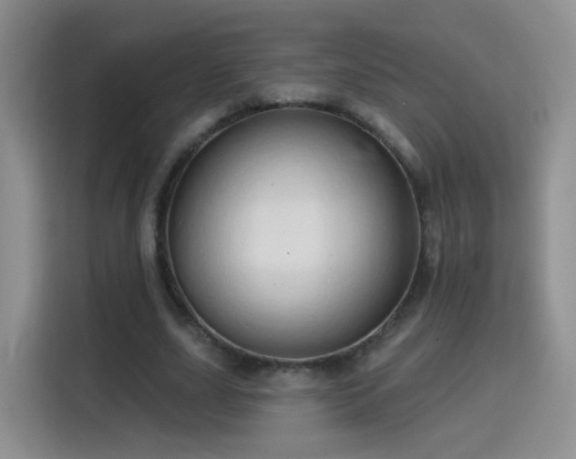 X0000115770631200911201219