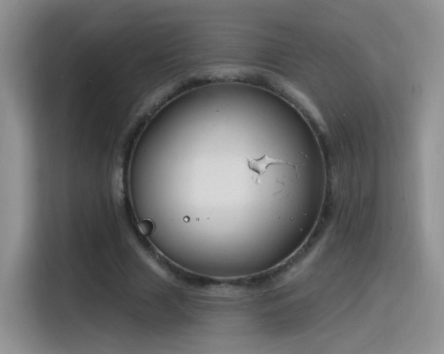 X0000115770633200911201219