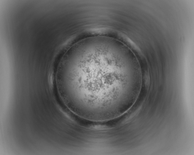 X0000115770637200911201219