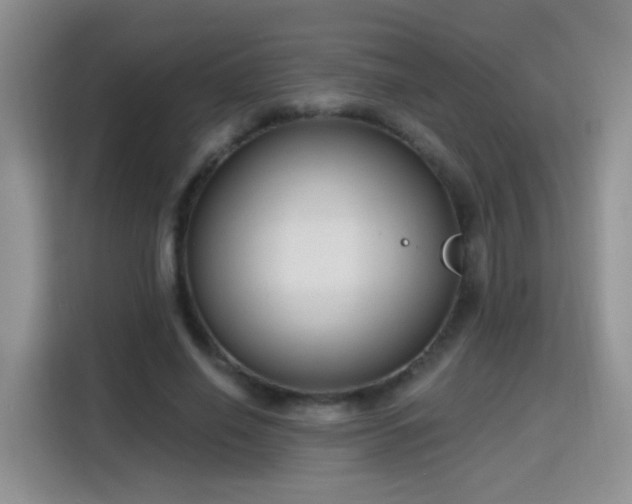 X0000115770638200911201219