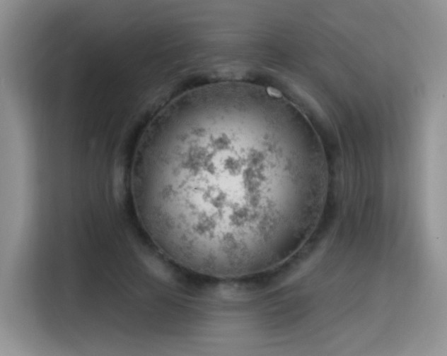 X0000115770641200911201219